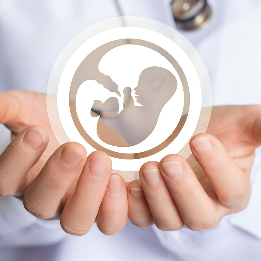 fertility